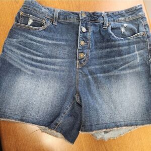 Time & Tru 14 high waisted denim jean shorts.